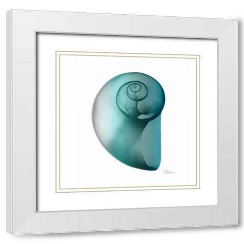 Teal Water Snail 2 White Modern Wood Framed Art Print with Double Matting by Koetsier, Albert
