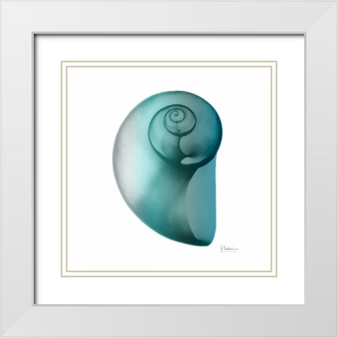 Teal Water Snail 2 White Modern Wood Framed Art Print with Double Matting by Koetsier, Albert