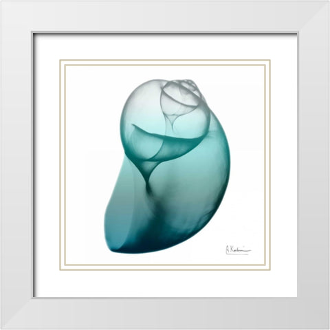 Water Snail 3 White Modern Wood Framed Art Print with Double Matting by Koetsier, Albert