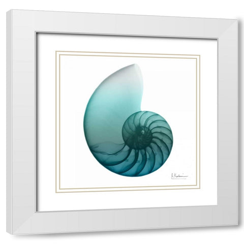 Water Snail 4 White Modern Wood Framed Art Print with Double Matting by Koetsier, Albert