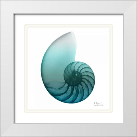 Water Snail 4 White Modern Wood Framed Art Print with Double Matting by Koetsier, Albert