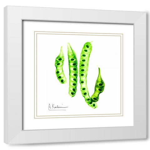 Carob Formation White Modern Wood Framed Art Print with Double Matting by Koetsier, Albert