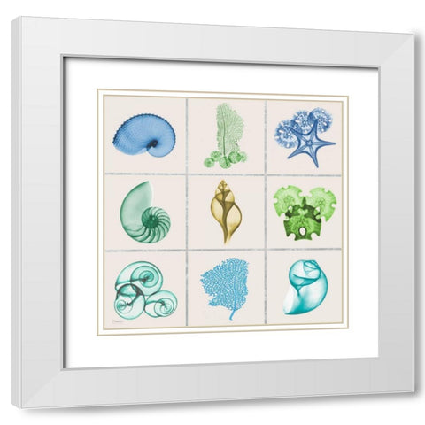 Sealife 9 Patch White Modern Wood Framed Art Print with Double Matting by Koetsier, Albert