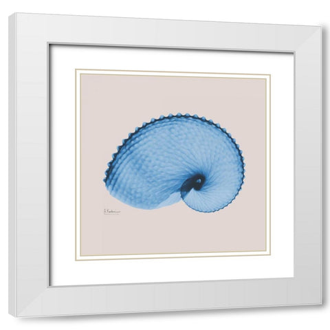 Ultramarine Argonaut White Modern Wood Framed Art Print with Double Matting by Koetsier, Albert