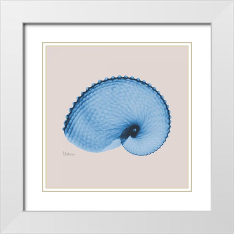 Ultramarine Argonaut White Modern Wood Framed Art Print with Double Matting by Koetsier, Albert