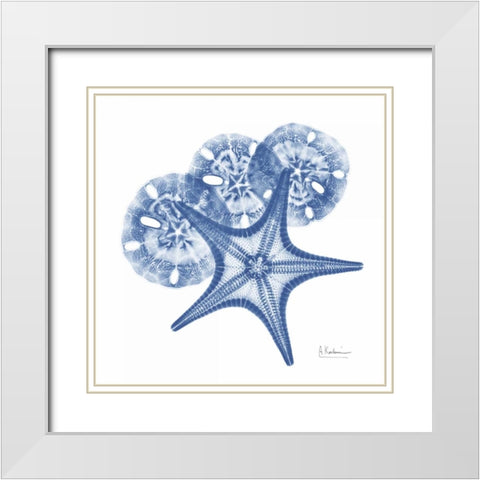 Cerulean Starfish and Sand Dollar 2 White Modern Wood Framed Art Print with Double Matting by Koetsier, Albert