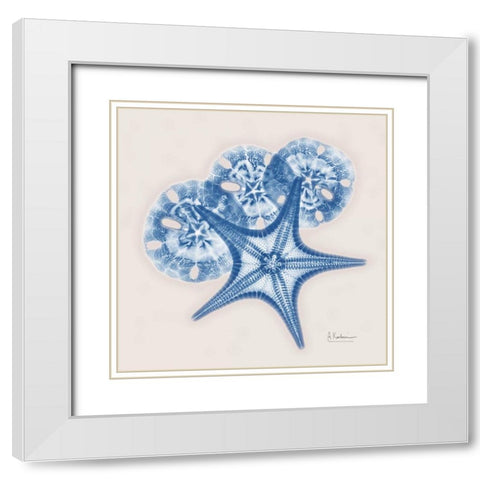 Cerulean Starfish and Sand Dollar White Modern Wood Framed Art Print with Double Matting by Koetsier, Albert