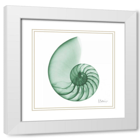 Jade Water Snail 2 White Modern Wood Framed Art Print with Double Matting by Koetsier, Albert