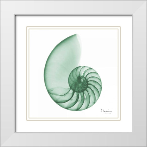 Jade Water Snail 2 White Modern Wood Framed Art Print with Double Matting by Koetsier, Albert