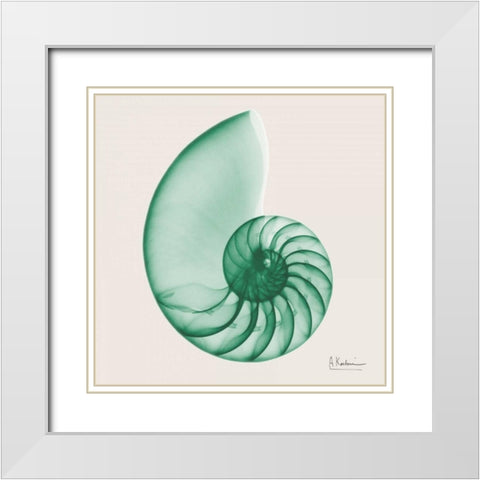 Jade Water Snail White Modern Wood Framed Art Print with Double Matting by Koetsier, Albert