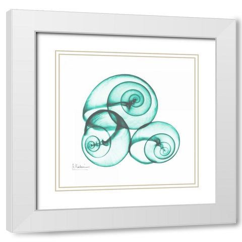 Shamrock Sky Snails 2 White Modern Wood Framed Art Print with Double Matting by Koetsier, Albert