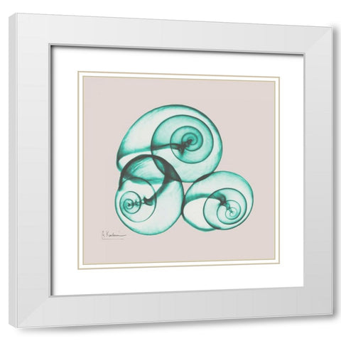 Shamrock Sky Snails White Modern Wood Framed Art Print with Double Matting by Koetsier, Albert