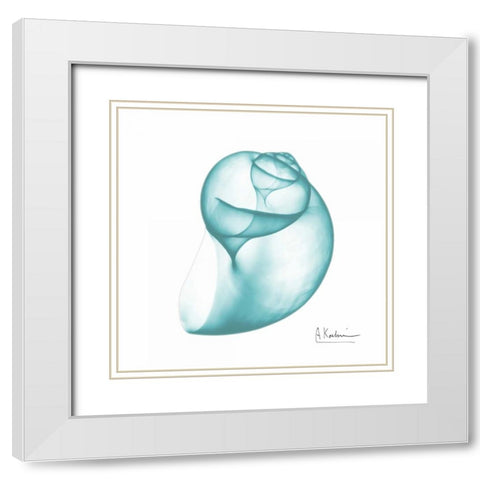 Viridian Water Snail 2 White Modern Wood Framed Art Print with Double Matting by Koetsier, Albert