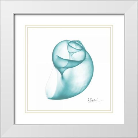 Viridian Water Snail 2 White Modern Wood Framed Art Print with Double Matting by Koetsier, Albert