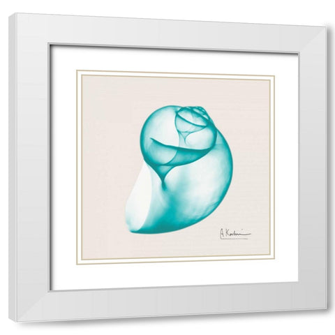 Viridian Water Snail White Modern Wood Framed Art Print with Double Matting by Koetsier, Albert