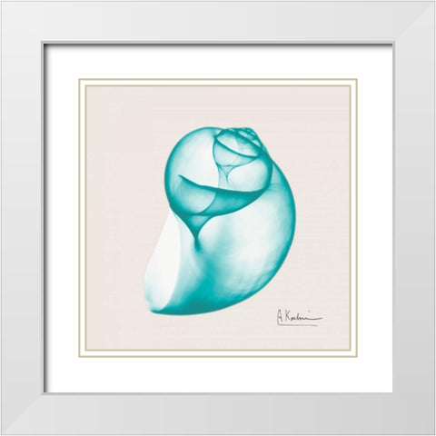 Viridian Water Snail White Modern Wood Framed Art Print with Double Matting by Koetsier, Albert