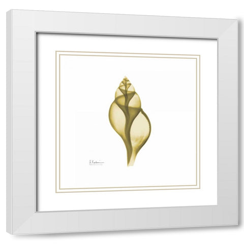 Genie Tulip Shell 2 White Modern Wood Framed Art Print with Double Matting by Koetsier, Albert