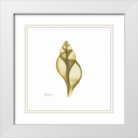 Genie Tulip Shell 2 White Modern Wood Framed Art Print with Double Matting by Koetsier, Albert