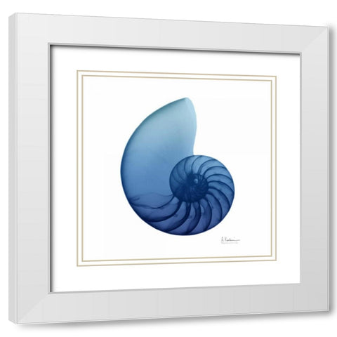 Scenic Water Snail 3 White Modern Wood Framed Art Print with Double Matting by Koetsier, Albert