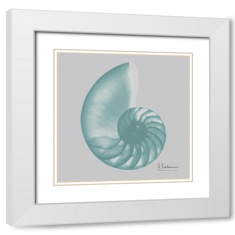 Aquifer Sea Shell White Modern Wood Framed Art Print with Double Matting by Koetsier, Albert