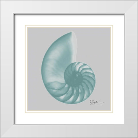 Aquifer Sea Shell White Modern Wood Framed Art Print with Double Matting by Koetsier, Albert