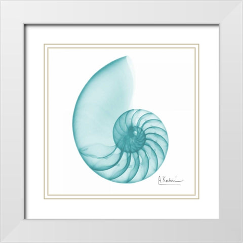 Turquoise Sea Shell White Modern Wood Framed Art Print with Double Matting by Koetsier, Albert