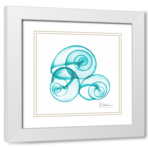 Turquoise Sky Snails White Modern Wood Framed Art Print with Double Matting by Koetsier, Albert