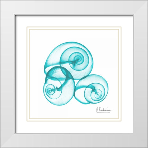 Turquoise Sky Snails White Modern Wood Framed Art Print with Double Matting by Koetsier, Albert