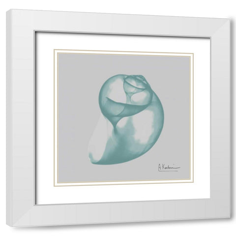 Aquifer Water Snail White Modern Wood Framed Art Print with Double Matting by Koetsier, Albert