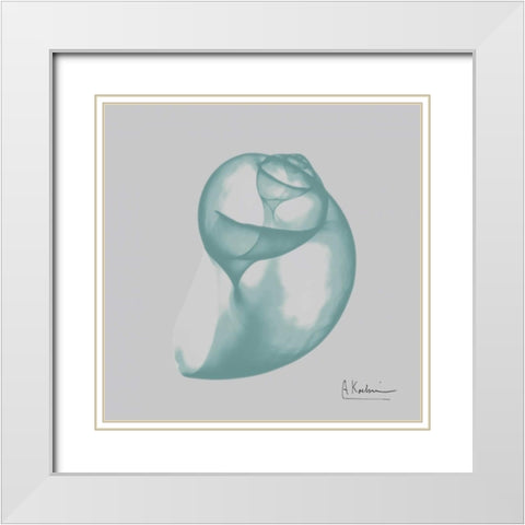 Aquifer Water Snail White Modern Wood Framed Art Print with Double Matting by Koetsier, Albert