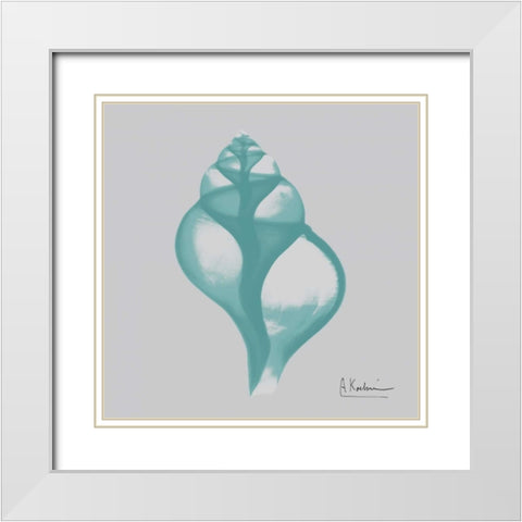 Aquifer Tulip Shell White Modern Wood Framed Art Print with Double Matting by Koetsier, Albert
