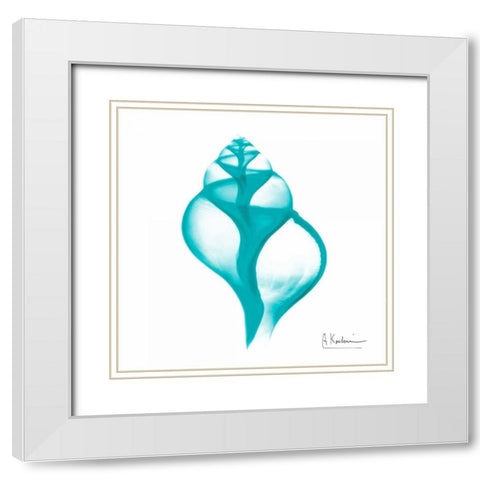 Turquoise Tulip Shell White Modern Wood Framed Art Print with Double Matting by Koetsier, Albert