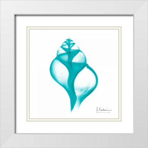 Turquoise Tulip Shell White Modern Wood Framed Art Print with Double Matting by Koetsier, Albert
