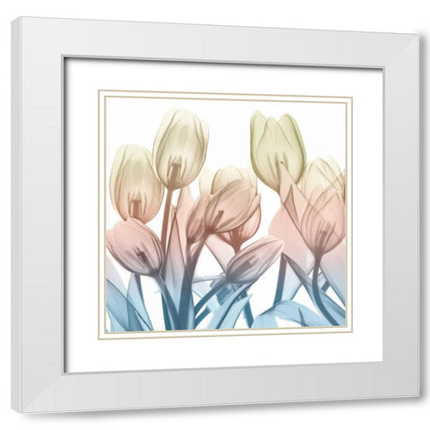 Magical Garden View White Modern Wood Framed Art Print with Double Matting by Koetsier, Albert