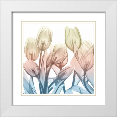 Magical Garden View White Modern Wood Framed Art Print with Double Matting by Koetsier, Albert