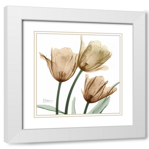 Autumn Tulips 1 White Modern Wood Framed Art Print with Double Matting by Koetsier, Albert