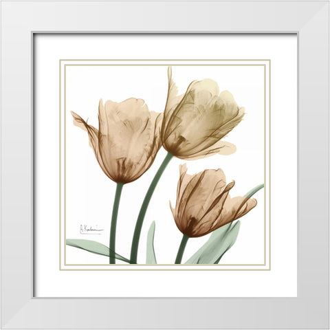 Autumn Tulips 1 White Modern Wood Framed Art Print with Double Matting by Koetsier, Albert