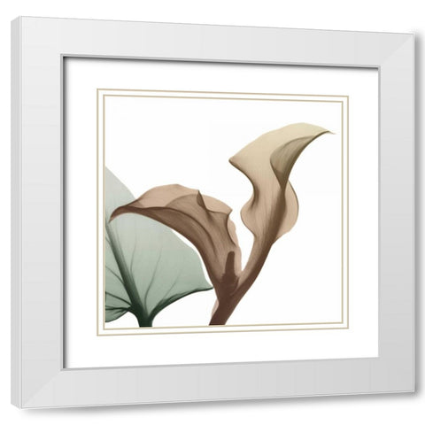 Autumn Callaqua White Modern Wood Framed Art Print with Double Matting by Koetsier, Albert