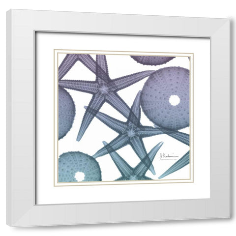 Lavender Dipped Starfish 1 White Modern Wood Framed Art Print with Double Matting by Koetsier, Albert