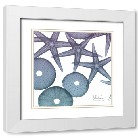 Lavender Dipped Starfish 2 White Modern Wood Framed Art Print with Double Matting by Koetsier, Albert