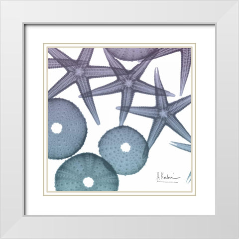 Lavender Dipped Starfish 2 White Modern Wood Framed Art Print with Double Matting by Koetsier, Albert