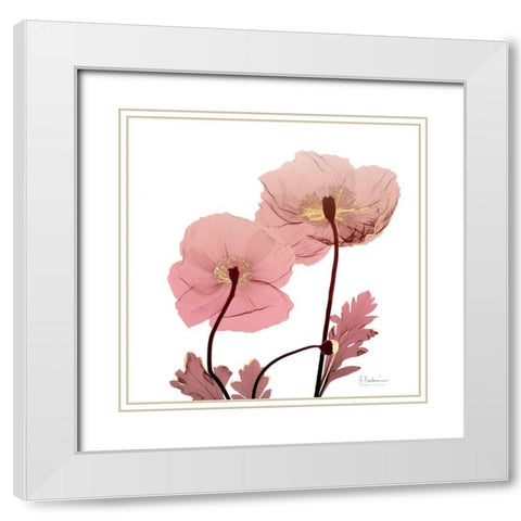 Golden Blush 2 White Modern Wood Framed Art Print with Double Matting by Koetsier, Albert