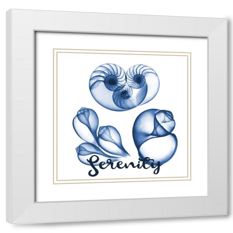 Coastal Serenity White Modern Wood Framed Art Print with Double Matting by Koetsier, Albert