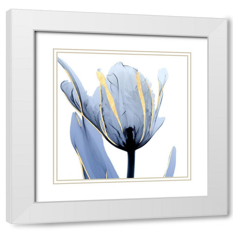 Moonlit Tulip White Modern Wood Framed Art Print with Double Matting by Koetsier, Albert