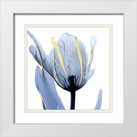 Moonlit Tulip White Modern Wood Framed Art Print with Double Matting by Koetsier, Albert