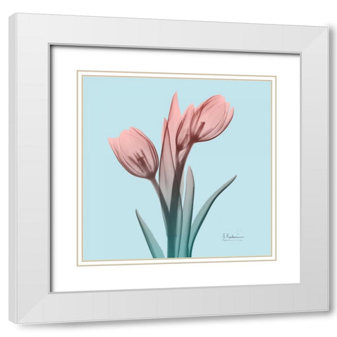 Awakening Tulips 1 White Modern Wood Framed Art Print with Double Matting by Koetsier, Albert