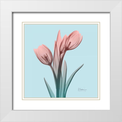 Awakening Tulips 1 White Modern Wood Framed Art Print with Double Matting by Koetsier, Albert
