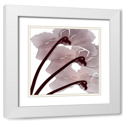 Silver Luster 1 White Modern Wood Framed Art Print with Double Matting by Koetsier, Albert