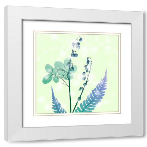 Brilliant Bloom White Modern Wood Framed Art Print with Double Matting by Koetsier, Albert