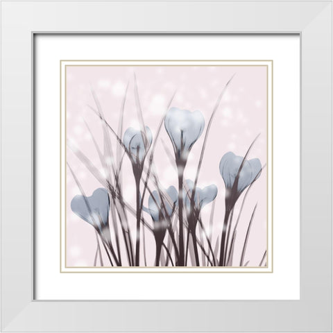 Salmon Crocus White Modern Wood Framed Art Print with Double Matting by Koetsier, Albert